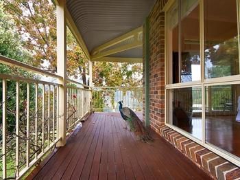 The Acreage B&B - Tourism Brisbane 5
