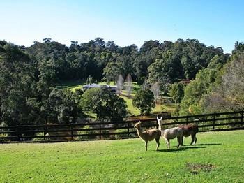The Acreage B&B - Tourism Brisbane 12