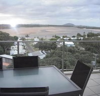 The Dunes Cotton Tree - Tourism Brisbane