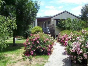 Yarraglen BnB - Brisbane Tourism 10