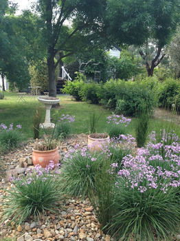 Yarraglen BnB - Brisbane Tourism 19