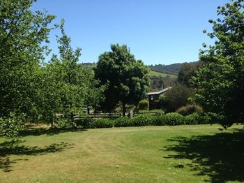 Yarraglen BnB - Brisbane Tourism 27
