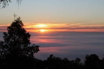 Bimbadeen Mountain Retreat - Brisbane 4u 1