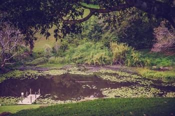 Allara Homestead - Brisbane 4u 5