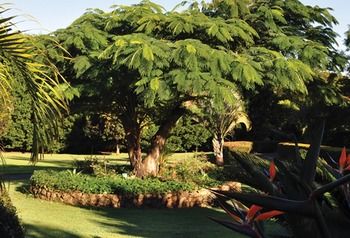 Peppertree Cottage - Tourism Brisbane 10