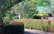 Peppertree Cottage - thumb 21