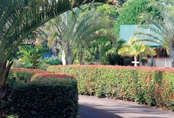 Peppertree Cottage - Tourism Brisbane 21