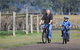 Tranquil Vale Vineyard & Cottages - thumb 10