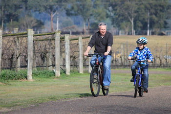 Tranquil Vale Vineyard & Cottages - Tourism Brisbane 10