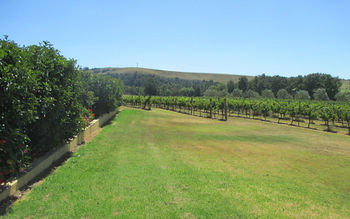 Tranquil Vale Vineyard & Cottages - Tourism Brisbane 17