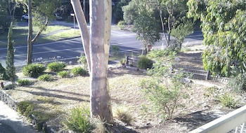 Eltham Retreat - Brisbane Tourism 4