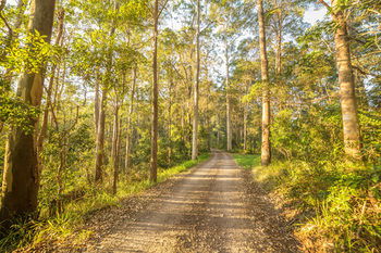 Alaya Verde - Brisbane 4u 34