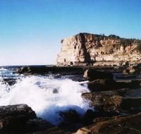 Terrigal Lagoon Bed and Breakfast - Tourism Brisbane
