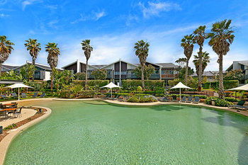 Magenta Studio Room - Tourism Brisbane 1