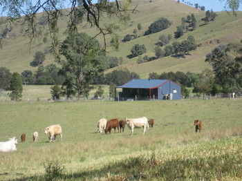 The Wattle Lodge - Brisbane 4u 19