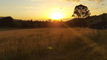 The Wattle Lodge - Brisbane 4u 35