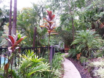Alaya Escape - Brisbane 4u 36