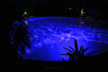 Alaya Escape - Brisbane 4u 42