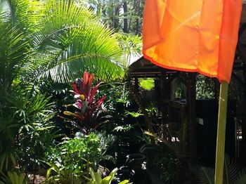 Alaya Escape - Brisbane 4u 53