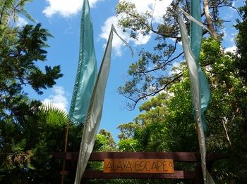 Alaya Escape - Brisbane 4u 56