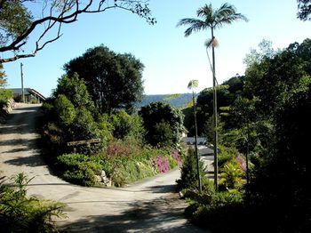 Top Of The Hill - Brisbane Tourism 2