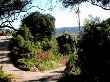 Top Of The Hill - Brisbane Tourism 3