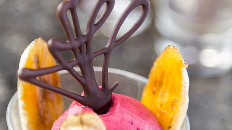 BEST WESTERN Hobart - Tourism Brisbane 4