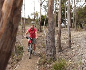 Tranquil Point Retreat - Tourism Brisbane 1