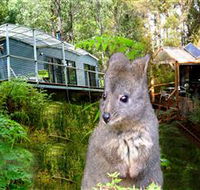 Huon Bush Retreats - Tourism Brisbane