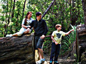 Tahune Airwalk Lodge - Tourism Brisbane 0