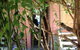 Memory Lane Cottages - thumb 2