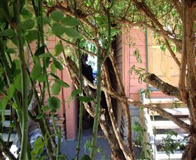 Memory Lane Cottages - Tourism Brisbane 2