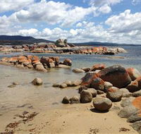 Lake Eckersley campground - Tourism Brisbane