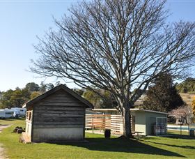 Branxholm Camping Ground - Tourism Brisbane 3