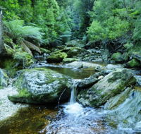 Tarkine Wilderness Experience at Corinna - Tourism Brisbane