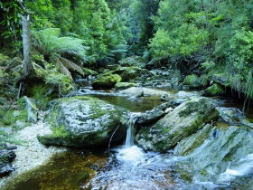 Tarkine Wilderness Experience At Corinna - Tourism Brisbane 0