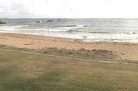 Penguin Caravan Park - Tourism Brisbane 0