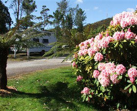 Zeehan Bush Camp  And Caravan Park - Brisbane 4u 0
