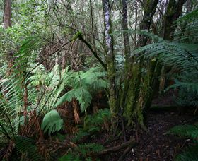 Silver Ridge Retreat - Brisbane 4u 4