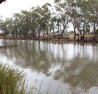 Riverbank Caravan Park - Brisbane Tourism