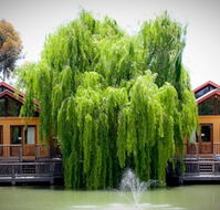 Perricoota Vines Retreat Echuca Moama - Tourism Brisbane
