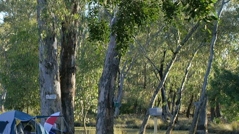 Numurkah Caravan Park - Brisbane Tourism 2