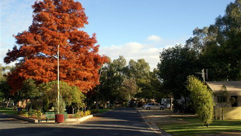 Numurkah Caravan Park - Brisbane Tourism 6