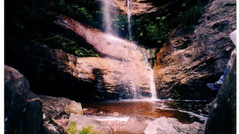 Happy Wanderer Holiday Resort - Tourism Brisbane 1