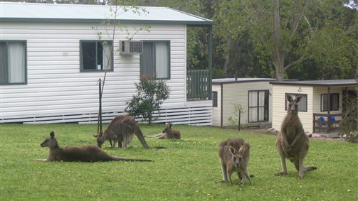 Macarthur VIC Tourism Brisbane