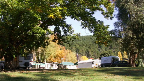 Porepunkah Pines Holiday Park - Brisbane Tourism 5