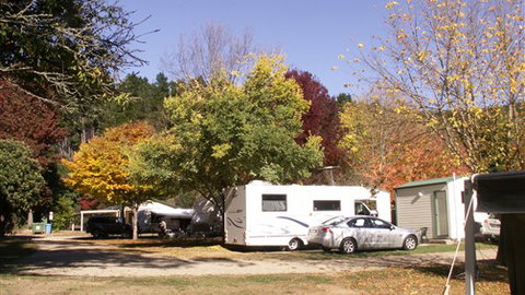 Porepunkah Pines Holiday Park - Brisbane Tourism 6