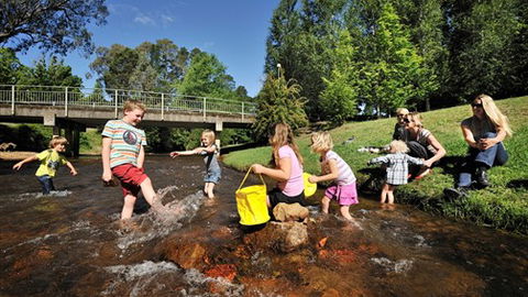 NRMA Bright Holiday Park - Tourism Brisbane 3