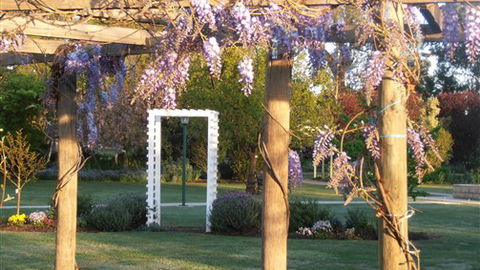 Stableford House Bed & Breakfast - Tourism Brisbane 5
