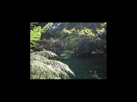 A Country House At Winstanley - Tourism Brisbane 4